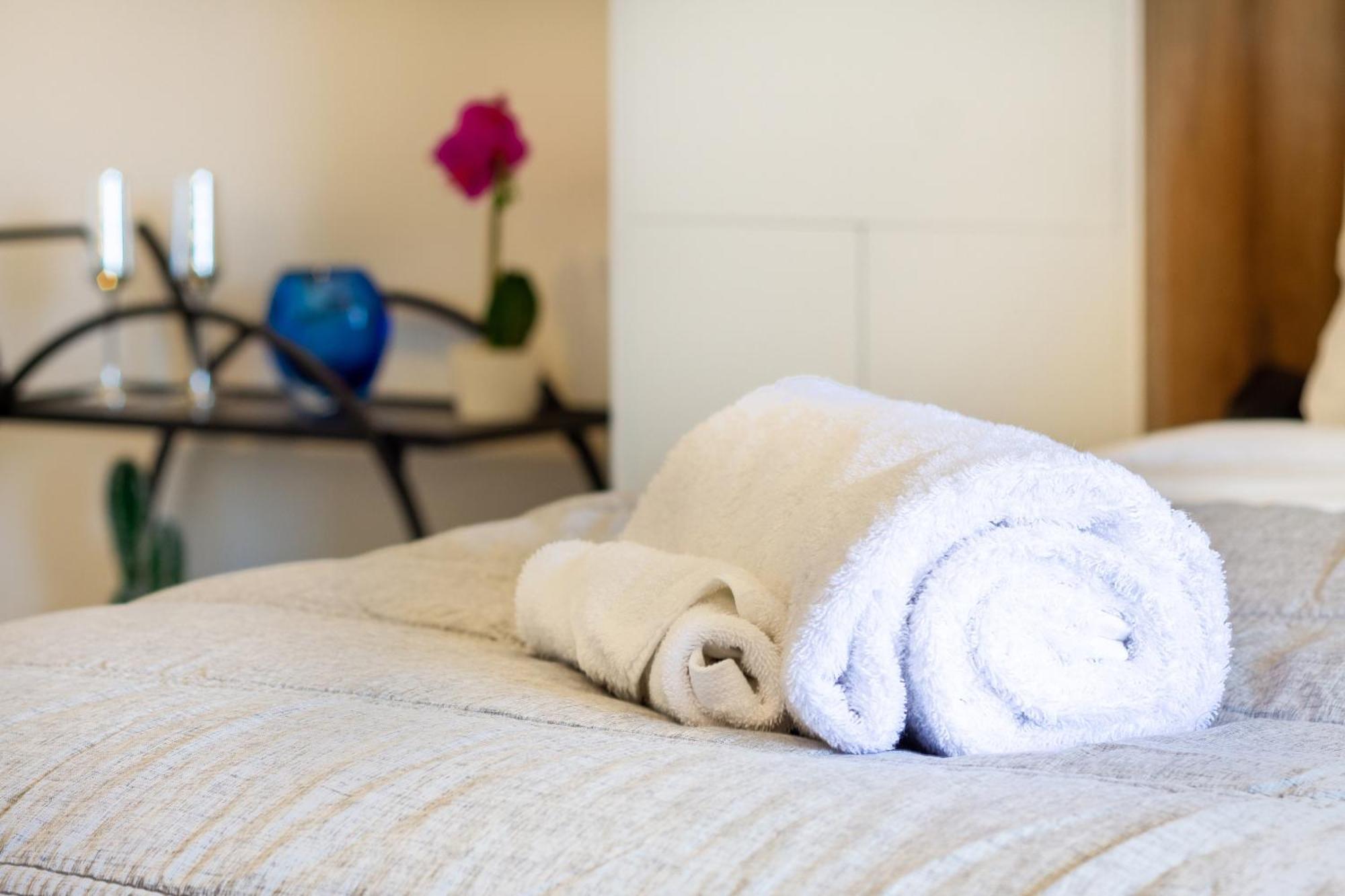 Central City Charm: Pet-Friendly Studio Christchurch Exterior foto