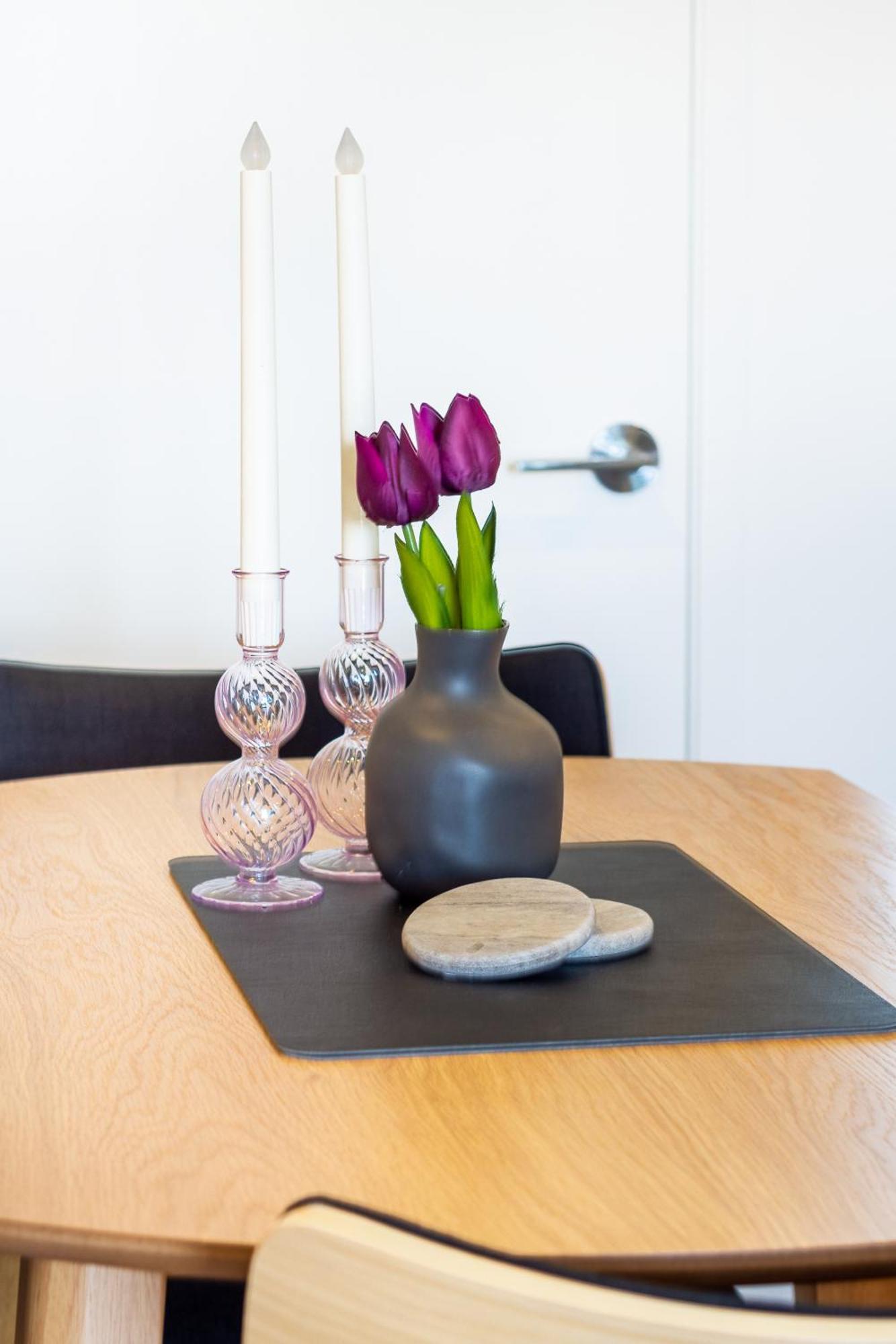 Central City Charm: Pet-Friendly Studio Christchurch Exterior foto